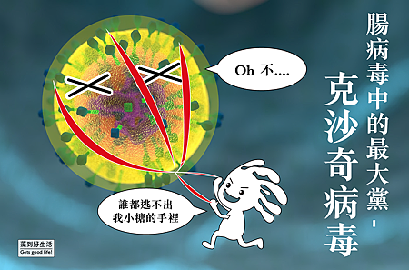 腸病毒中的最大黨 克沙奇病毒 藻到好生活 痞客邦