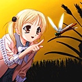 PM4T019