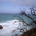 MELB -GREAT OCEAN ROAD28.jpg