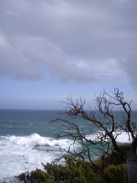 MELB -GREAT OCEAN ROAD32.jpg