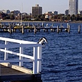 MELB -S.T  KILDA BEACH28.jpg