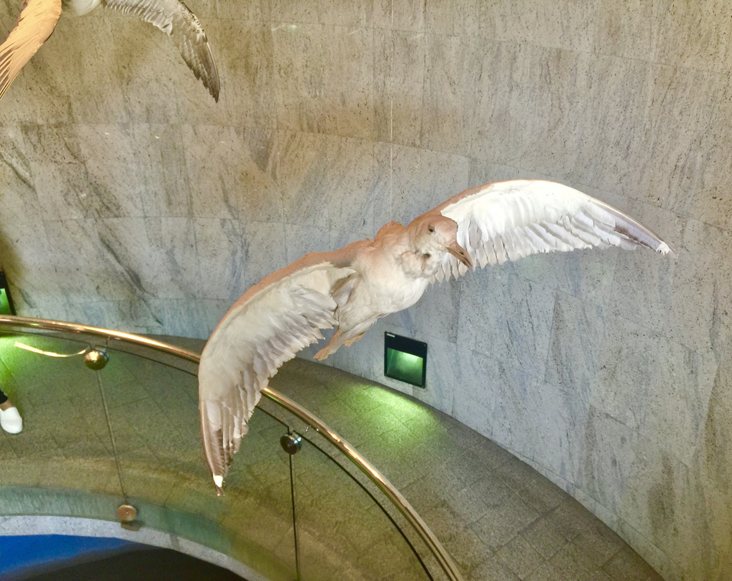 [杜拜旅遊] 杜拜旅行-杜拜博物館Dubai Museum