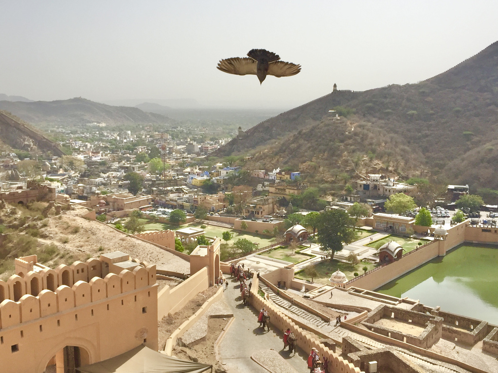 [印度旅遊] 印度古文明金三角-齋浦爾 山中之城 琥珀堡Amber Fort