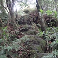 DSC01878-1.JPG