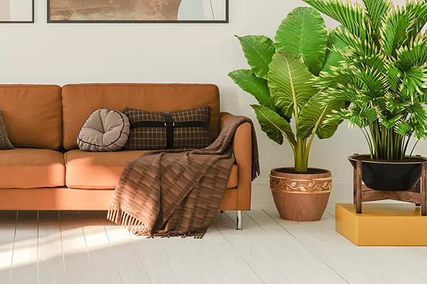 6 Items You Should Avoid Paint 6 Items You Should Avoid Paint