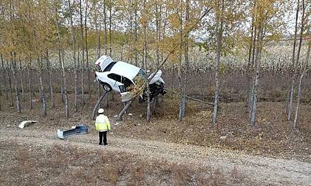 黑龍江飛車上樹 交警也驚呆