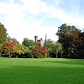 Bute Park_06_resize.JPG