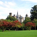 Bute Park_07_resize.JPG