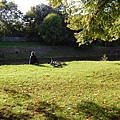 Bute Park_10_resize.JPG