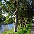 Bute Park_16_resize.JPG