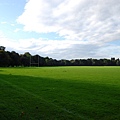 Bute Park_19_resize.JPG