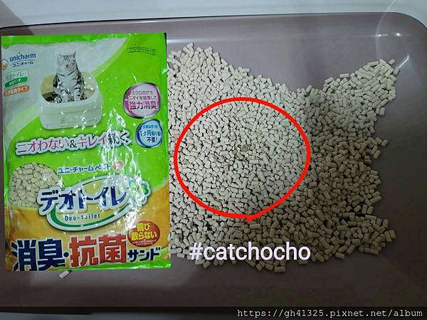 20210917_155621.jpg 20210917_155621.jpg