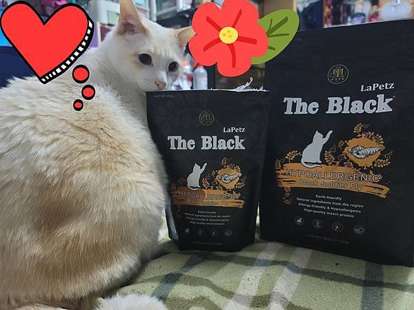 20220412_200555.jpg 20220412_200555.jpg