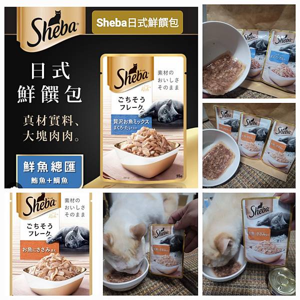 《試用文》Sheba希寶 鮮肉慕斯主食罐、誘惑泥、日本鮮饌