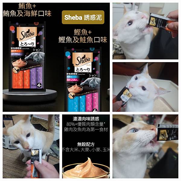 《試用文》Sheba希寶 鮮肉慕斯主食罐、誘惑泥、日本鮮饌
