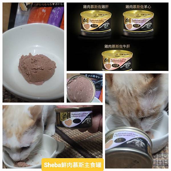 《試用文》Sheba希寶 鮮肉慕斯主食罐、誘惑泥、日本鮮饌