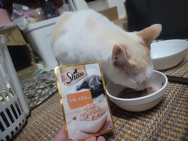 《試用文》Sheba希寶 鮮肉慕斯主食罐、誘惑泥、日本鮮饌
