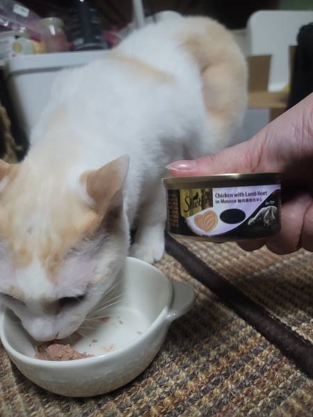 《試用文》Sheba希寶 鮮肉慕斯主食罐、誘惑泥、日本鮮饌