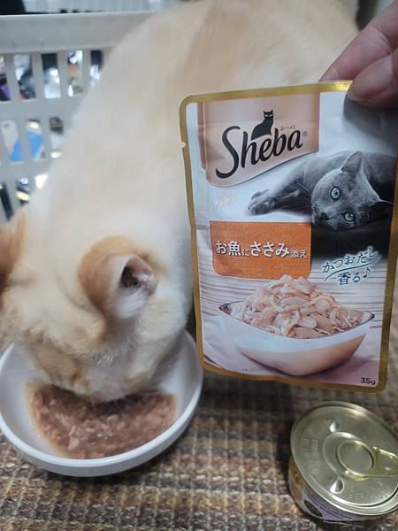 《試用文》Sheba希寶 鮮肉慕斯主食罐、誘惑泥、日本鮮饌