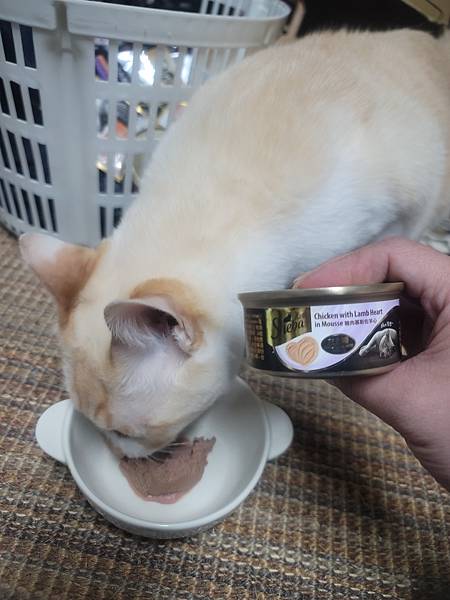 《試用文》Sheba希寶 鮮肉慕斯主食罐、誘惑泥、日本鮮饌