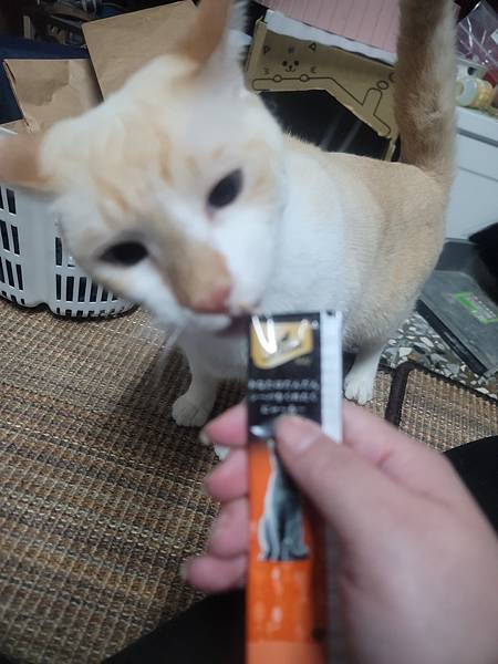 《試用文》Sheba希寶 鮮肉慕斯主食罐、誘惑泥、日本鮮饌