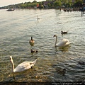 Starnberger See3.jpg