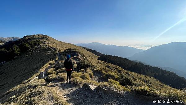 IMG_7461.JPG IMG_7461.JPG