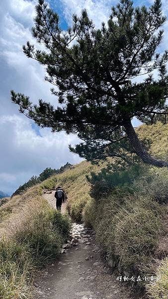 IMG_7480.JPG IMG_7480.JPG