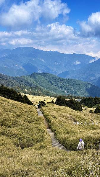 IMG_7481.JPG IMG_7481.JPG