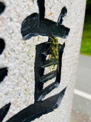 291486222_5922837844400185_8113744022614673957_n 291486222_5922837844400185_8113744022614673957_n