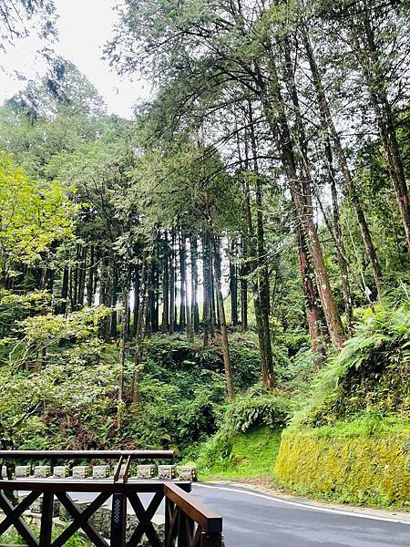 291801218_5922838554400114_4671678541716301650_n 291801218_5922838554400114_4671678541716301650_n