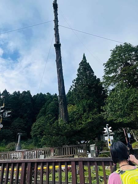 292637788_5922842057733097_8567017514938837546_n 292637788_5922842057733097_8567017514938837546_n