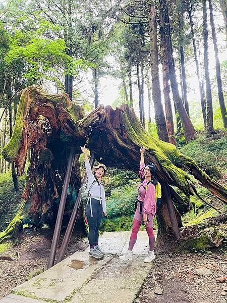 292539171_5922842371066399_705598772217254590_n 292539171_5922842371066399_705598772217254590_n