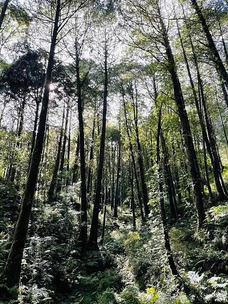 292211681_5922839834399986_3647992074992317059_n 292211681_5922839834399986_3647992074992317059_n