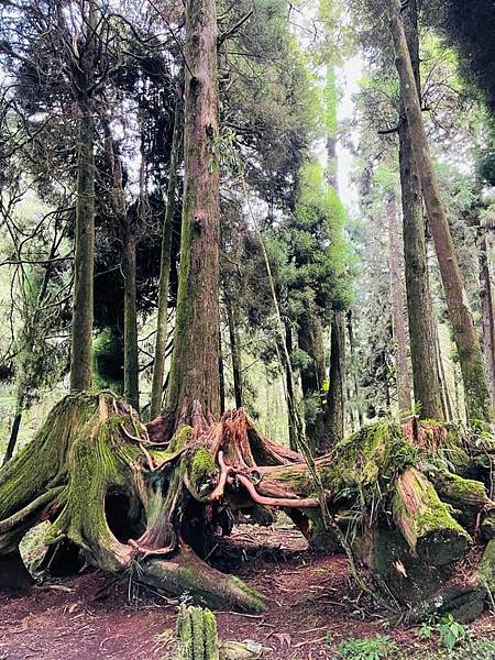 292069770_5922838911066745_4609604504843551748_n 292069770_5922838911066745_4609604504843551748_n