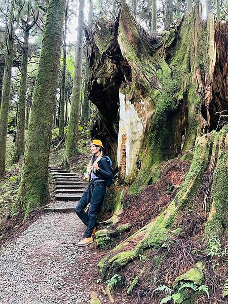 292253646_5922840554399914_4017866820920563596_n 292253646_5922840554399914_4017866820920563596_n