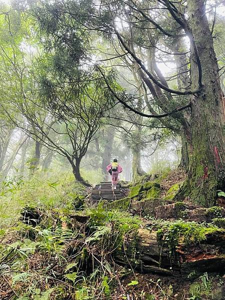 292359745_5922841084399861_7299064243816496410_n 292359745_5922841084399861_7299064243816496410_n