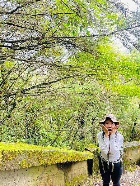 292691620_5922839927733310_7519096460444749177_n 292691620_5922839927733310_7519096460444749177_n