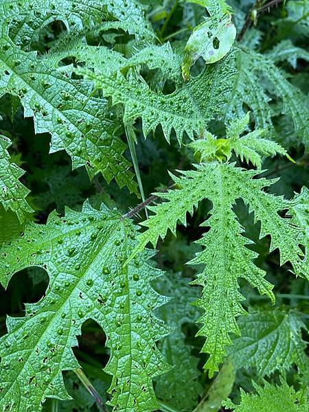 294413821_5966321043385198_954268178135432109_n 294413821_5966321043385198_954268178135432109_n