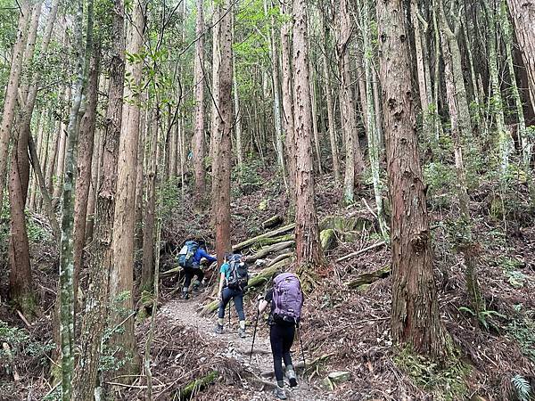 294694848_5966326746717961_7826249818662119371_n 294694848_5966326746717961_7826249818662119371_n