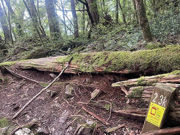 294861190_5966327413384561_3551792016542791089_n 294861190_5966327413384561_3551792016542791089_n