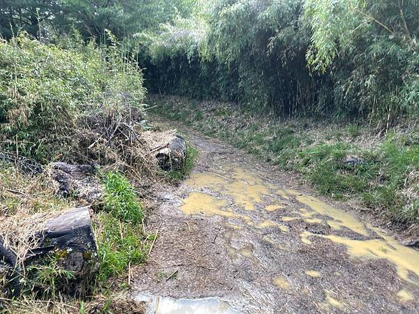 295084124_5966328020051167_2020777603025386377_n 295084124_5966328020051167_2020777603025386377_n