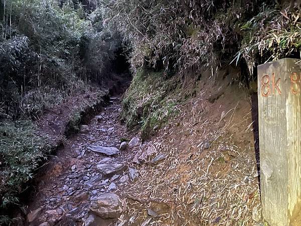 294970175_5966332103384092_4653372229184372012_n 294970175_5966332103384092_4653372229184372012_n