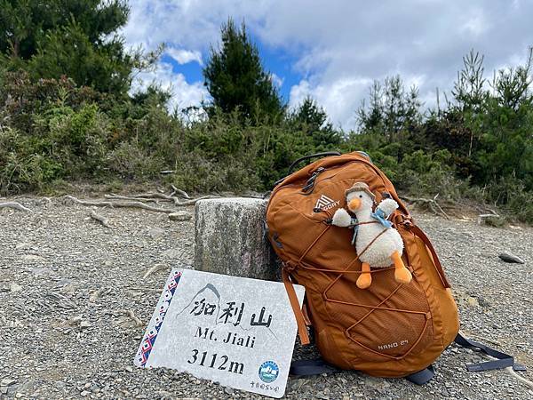 294522634_5966349140049055_6113313000346115201_n 294522634_5966349140049055_6113313000346115201_n