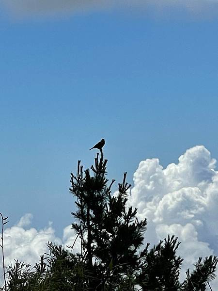 294608863_5966345343382768_4198001471956341596_n 294608863_5966345343382768_4198001471956341596_n