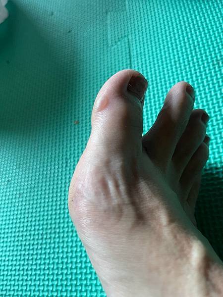 295282748_5966349620049007_7423170922887506003_n 295282748_5966349620049007_7423170922887506003_n