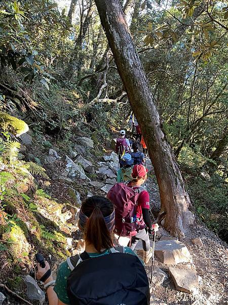 295347576_5966346526715983_3572962557156015500_n 295347576_5966346526715983_3572962557156015500_n