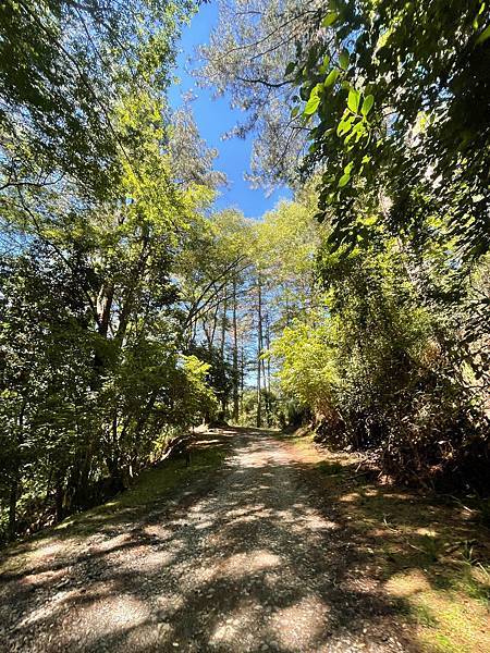 294724709_5966347193382583_46432092112369707_n 294724709_5966347193382583_46432092112369707_n