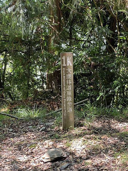 295301236_5966351256715510_8472717930008308165_n 295301236_5966351256715510_8472717930008308165_n