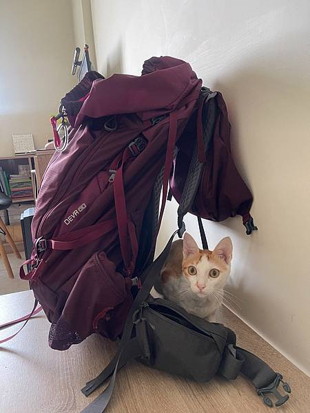 294887295_5966318733385429_7692823748686427916_n 294887295_5966318733385429_7692823748686427916_n